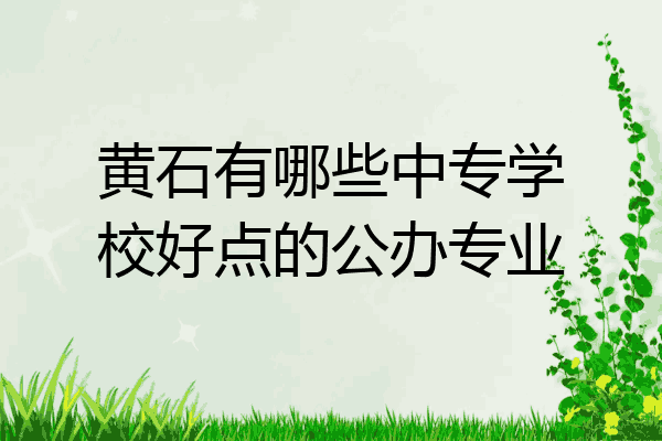 黄石有哪些中专学校好点的公办专业