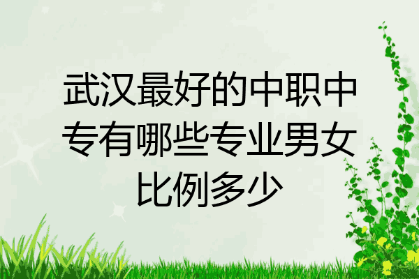 武汉最好的中职中专有哪些专业男女比例多少