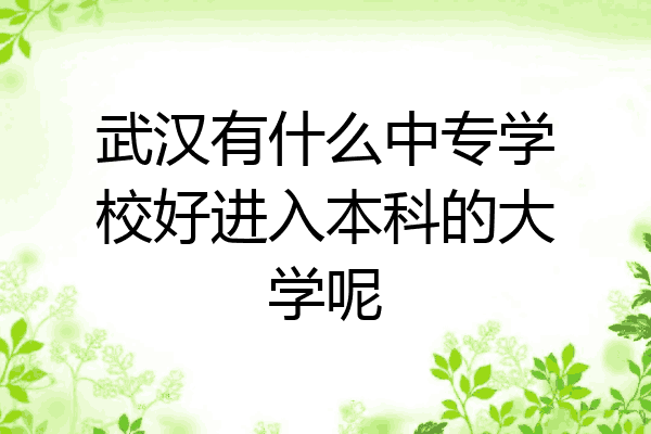 武汉有什么中专学校好进入本科的大学呢