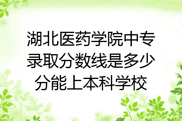 湖北医药学院中专录取分数线是多少分能上本科学校