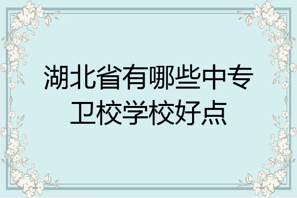 湖北省有哪些中专卫校学校好点