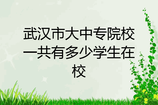 武汉市大中专院校一共有多少学生在校