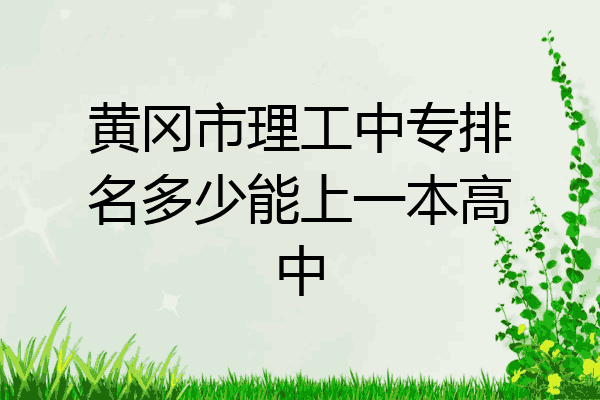 黄冈市理工中专排名多少能上一本高中