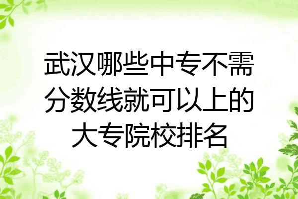 武汉哪些中专不需分数线就可以上的大专院校排名