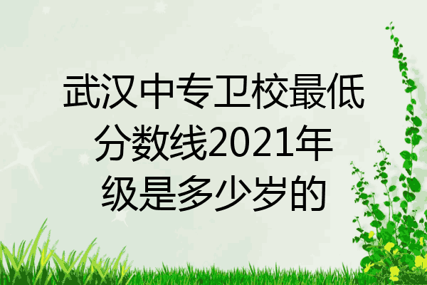 武汉中专卫校最低分数线2021年级是多少岁的