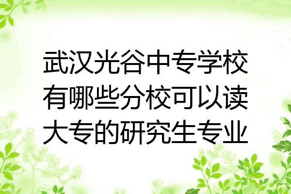 武汉光谷中专学校有哪些分校可以读大专的研究生专业