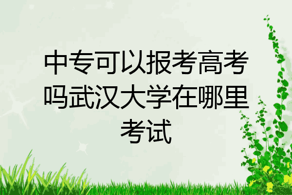 中专可以报考高考吗武汉大学在哪里考试