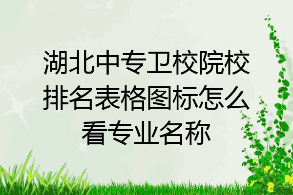 湖北中专卫校院校排名表格图标怎么看专业名称