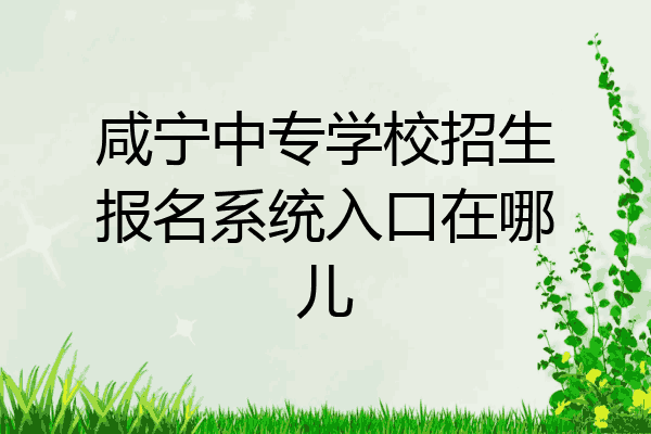 咸宁中专学校招生报名系统入口在哪儿