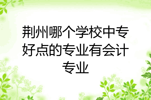 荆州哪个学校中专好点的专业有会计专业