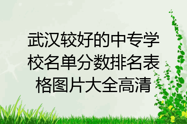 武汉较好的中专学校名单分数排名表格图片大全高清