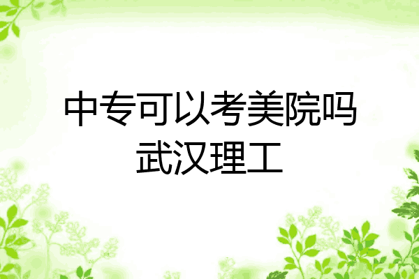 中专可以考美院吗武汉理工