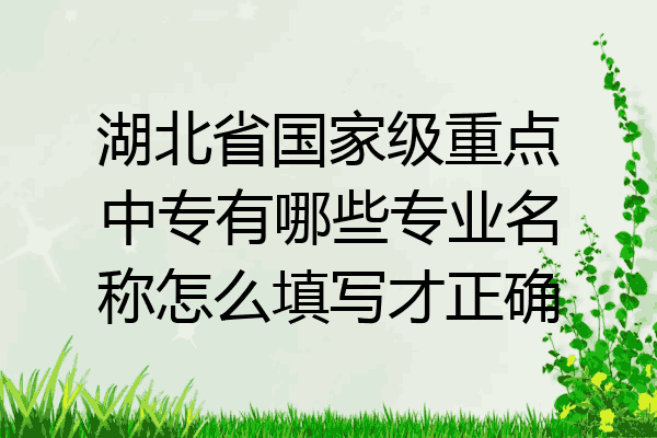 湖北省国家级重点中专有哪些专业名称怎么填写才正确