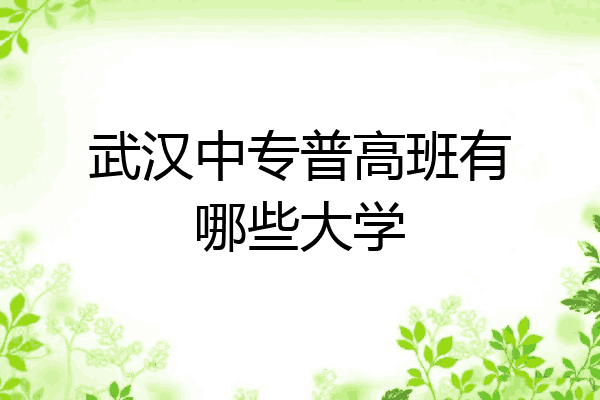 武汉中专普高班有哪些大学