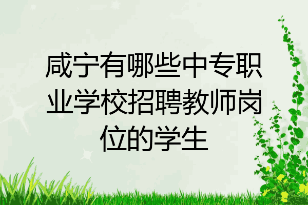 咸宁有哪些中专职业学校招聘教师岗位的学生