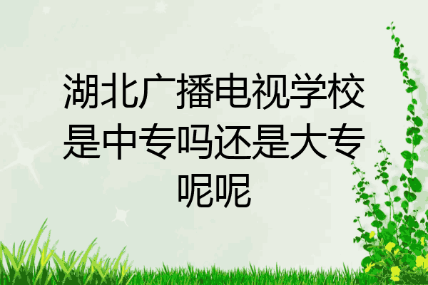 湖北广播电视学校是中专吗还是大专呢呢