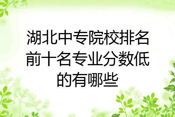 湖北中专院校排名前十名专业分数低的有哪些