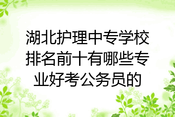 湖北护理中专学校排名前十有哪些专业好考公务员的