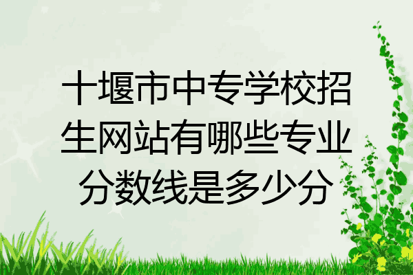 十堰市中专学校招生网站有哪些专业分数线是多少分