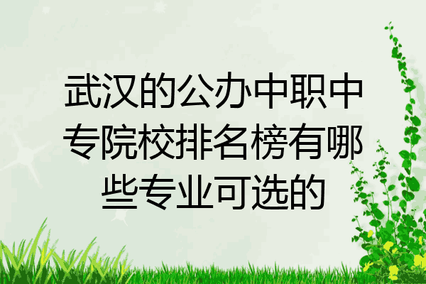武汉的公办中职中专院校排名榜有哪些专业可选的