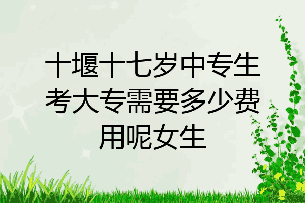 十堰十七岁中专生考大专需要多少费用呢女生