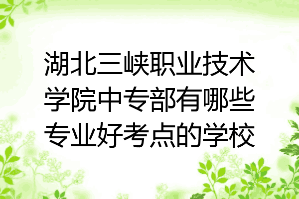 湖北三峡职业技术学院中专部有哪些专业好考点的学校
