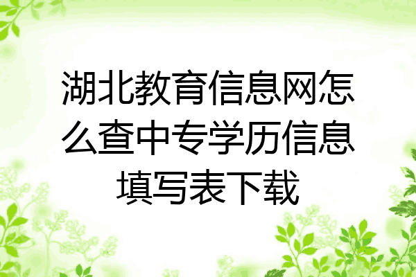 湖北教育信息网怎么查中专学历信息填写表下载