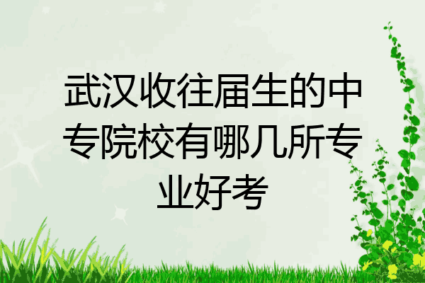 武汉收往届生的中专院校有哪几所专业好考