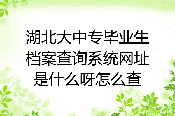 湖北大中专毕业生档案查询系统网址是什么呀怎么查