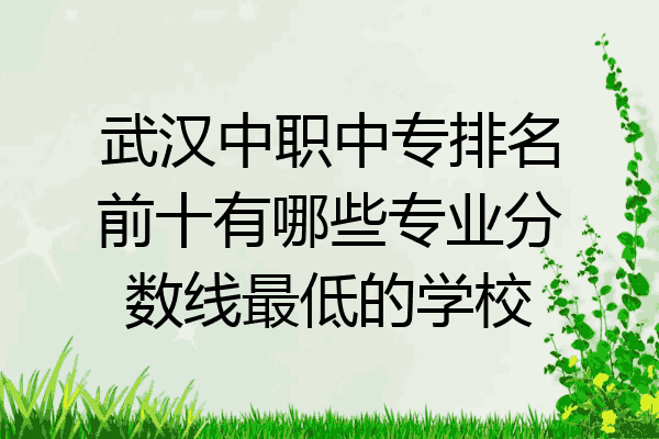 武汉中职中专排名前十有哪些专业分数线最低的学校