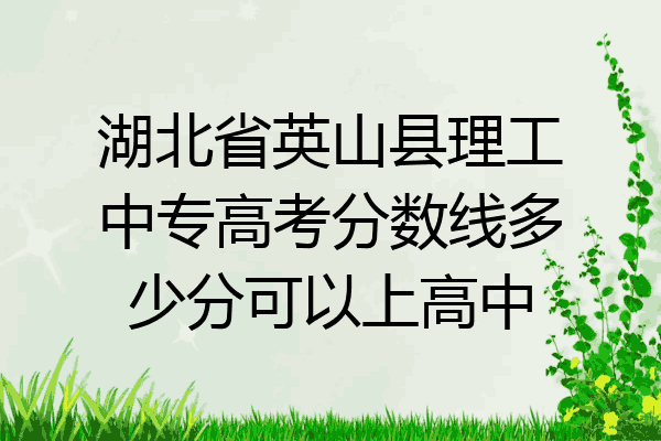 湖北省英山县理工中专高考分数线多少分可以上高中