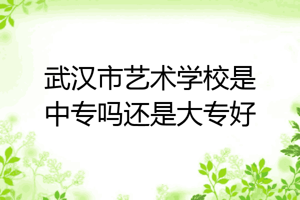武汉市艺术学校是中专吗还是大专好