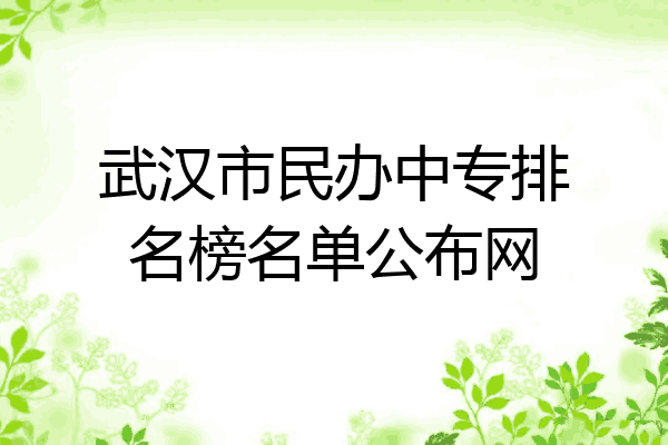武汉市民办中专排名榜名单公布网