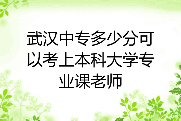 武汉中专多少分可以考上本科大学专业课老师