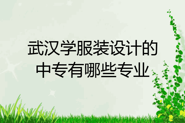 武汉学服装设计的中专有哪些专业