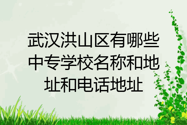 武汉洪山区有哪些中专学校名称和地址和电话地址