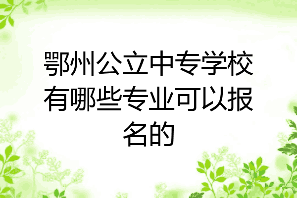 鄂州公立中专学校有哪些专业可以报名的