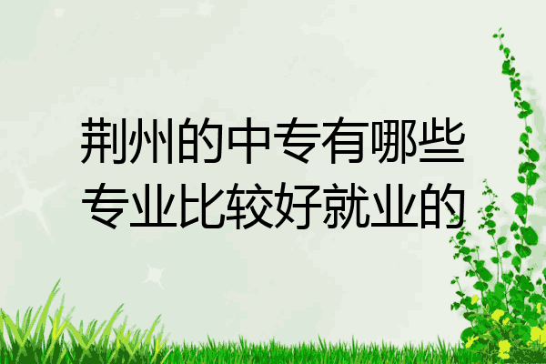 荆州的中专有哪些专业比较好就业的