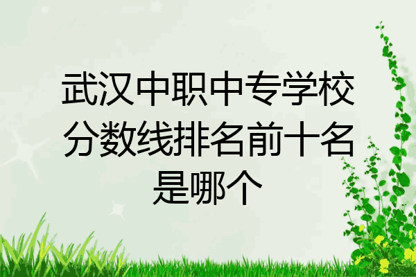 武汉中职中专学校分数线排名前十名是哪个