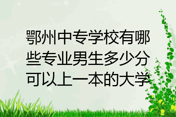 鄂州中专学校有哪些专业男生多少分可以上一本的大学