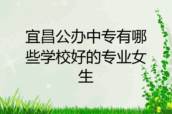 宜昌公办中专有哪些学校好的专业女生