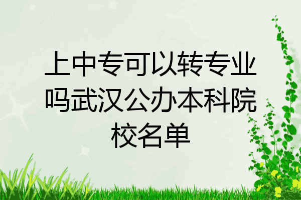 上中专可以转专业吗武汉公办本科院校名单