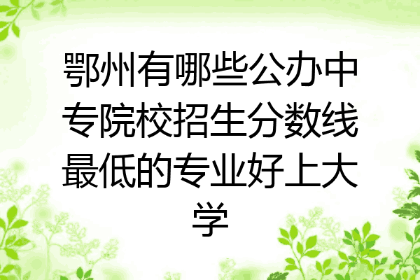 鄂州有哪些公办中专院校招生分数线最低的专业好上大学