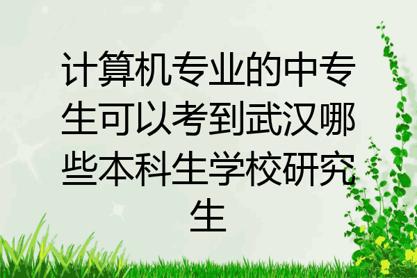计算机专业的中专生可以考到武汉哪些本科生学校研究生
