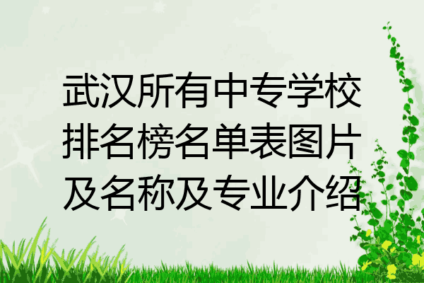 武汉所有中专学校排名榜名单表图片及名称及专业介绍