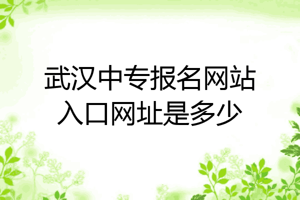 武汉中专报名网站入口网址是多少