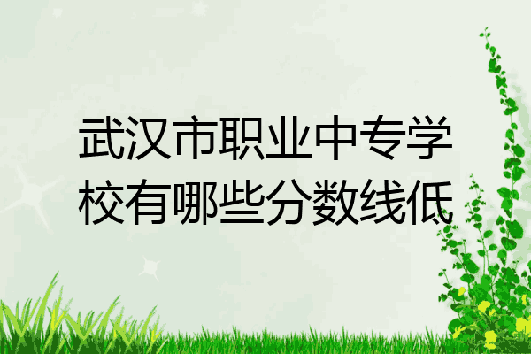 武汉市职业中专学校有哪些分数线低