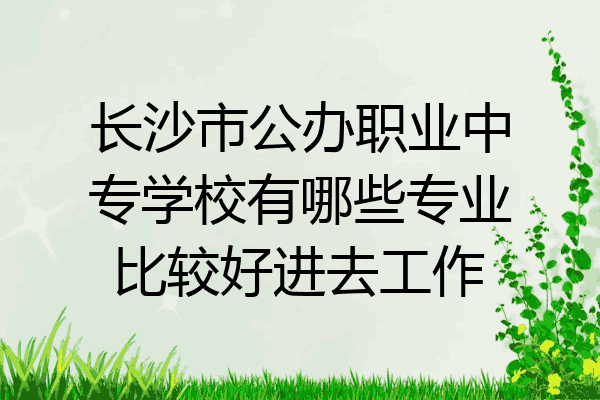 长沙市公办职业中专学校有哪些专业比较好进去工作
