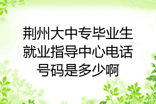 荆州大中专毕业生就业指导中心电话号码是多少啊