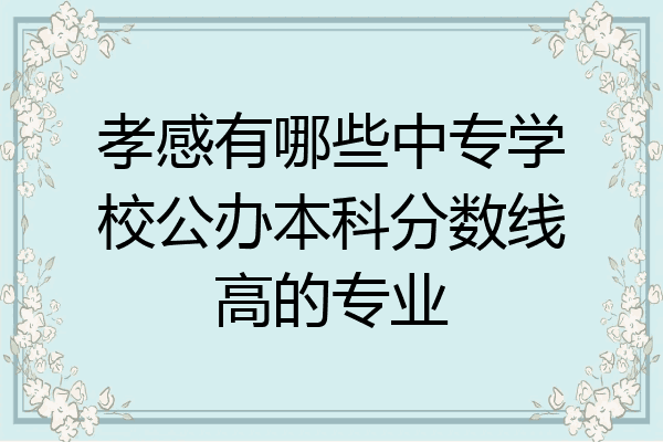 孝感有哪些中专学校公办本科分数线高的专业